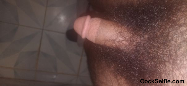 hairy dick - Cock Selfie
