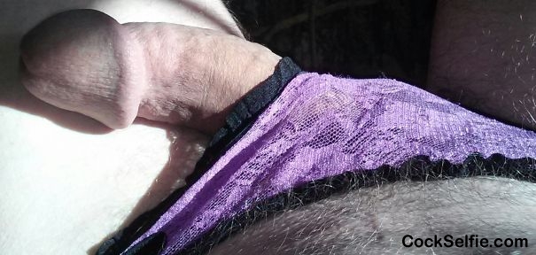 my hard cock in panties - Cock Selfie