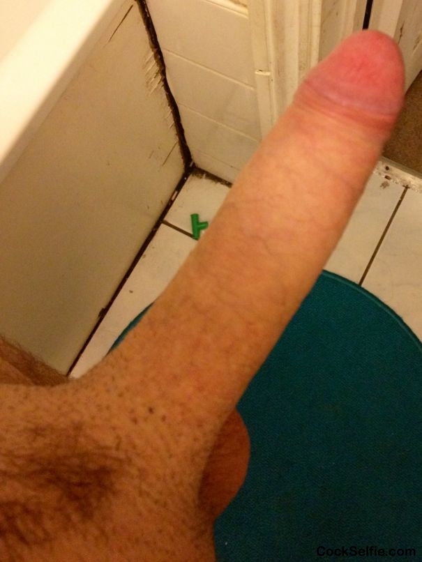 Hard And Ready For sucking - Cock Selfie