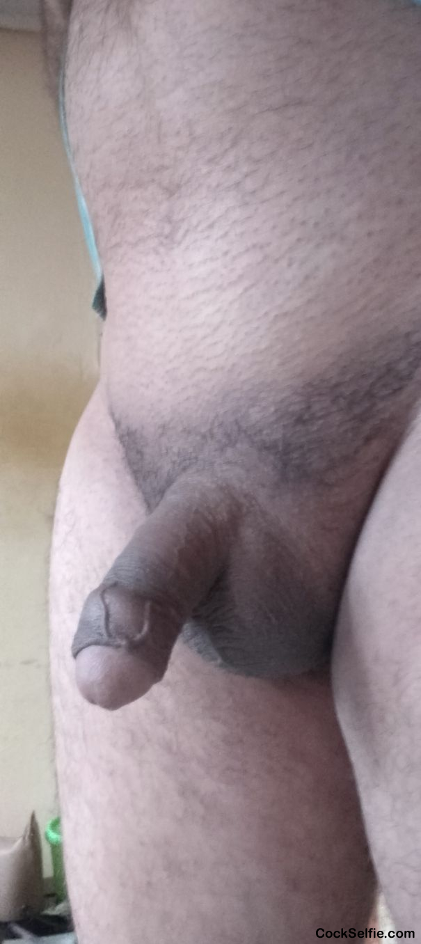  - Cock Selfie