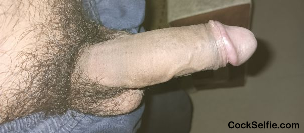 Beauty cock - Cock Selfie