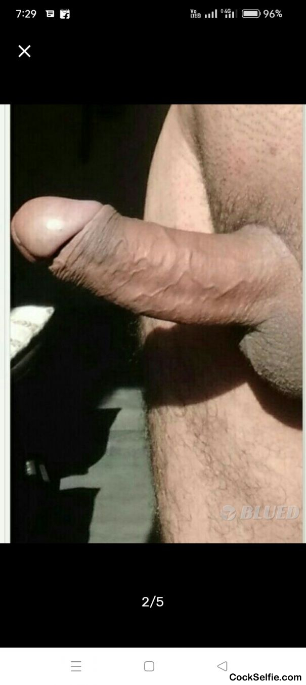  - Cock Selfie