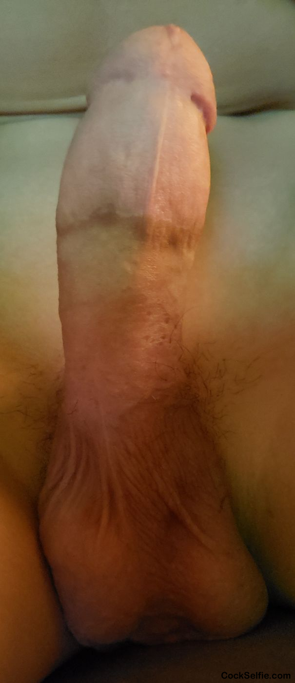 Rate my dick - Cock Selfie