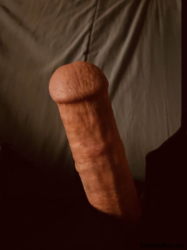  - Cock Selfie