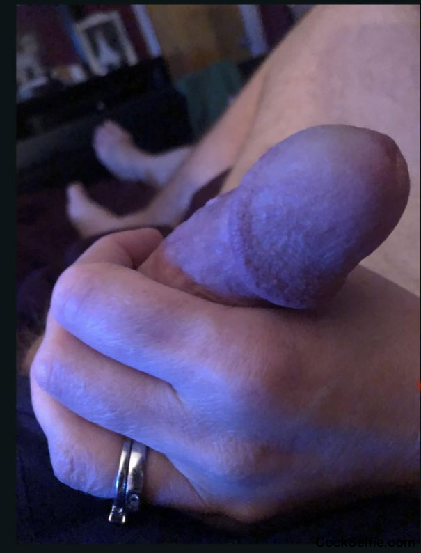 Little HJ - Cock Selfie