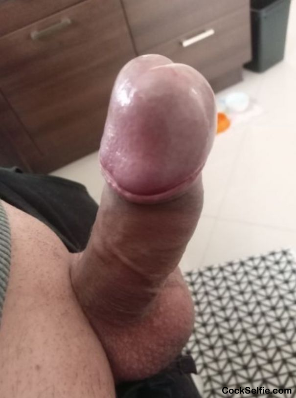  - Cock Selfie