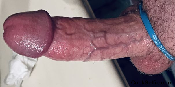 Kiss my shaft where It meets my balls - Cock Selfie