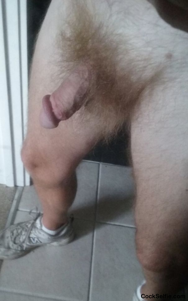 Full bush sofly - Cock Selfie