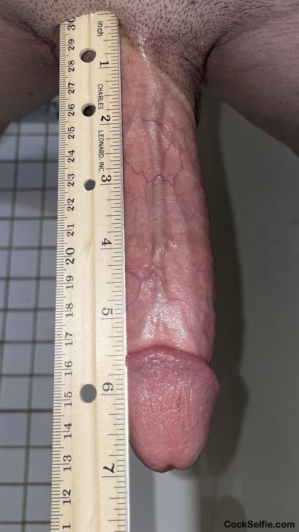 605px x 1075px - 7 Inch Penis BWC Cock Measure Ruler Porn - posted to Cock Selfie
