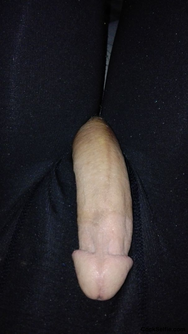 Horny - Cock Selfie