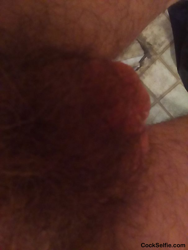 Little and hairy. - Cock Selfie