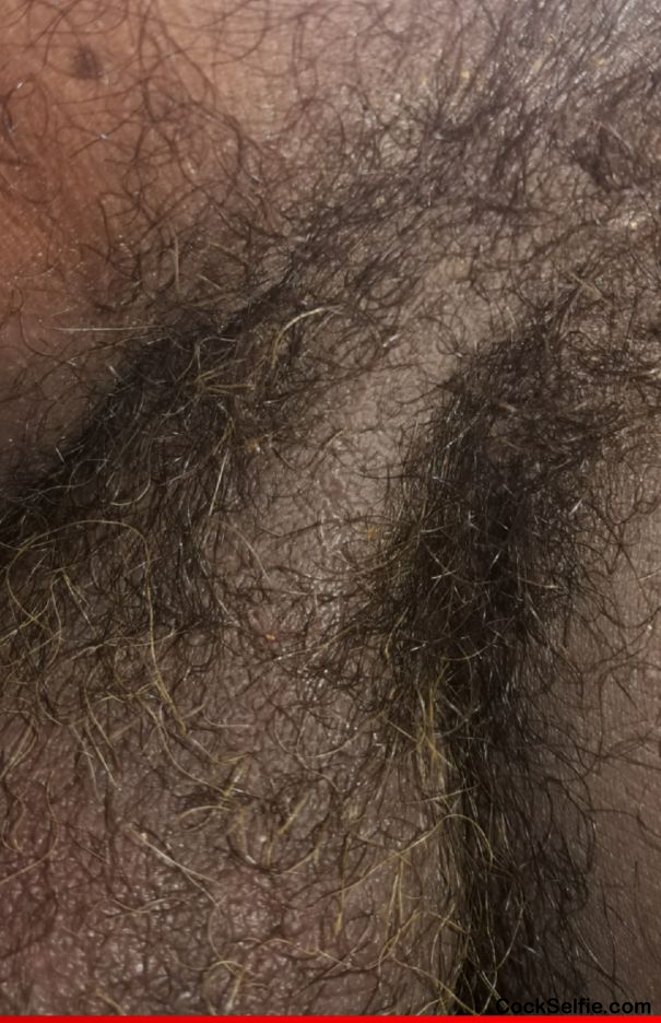 My hairy balls pubis closup - Cock Selfie