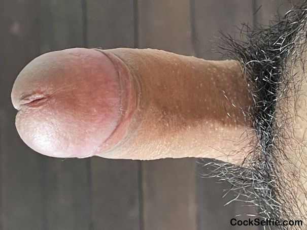  - Cock Selfie