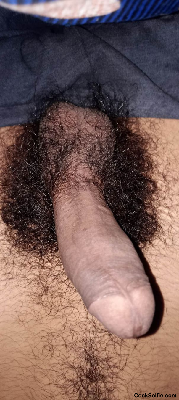 My hairy dick - Cock Selfie