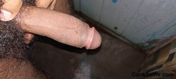 Any one suck - Cock Selfie