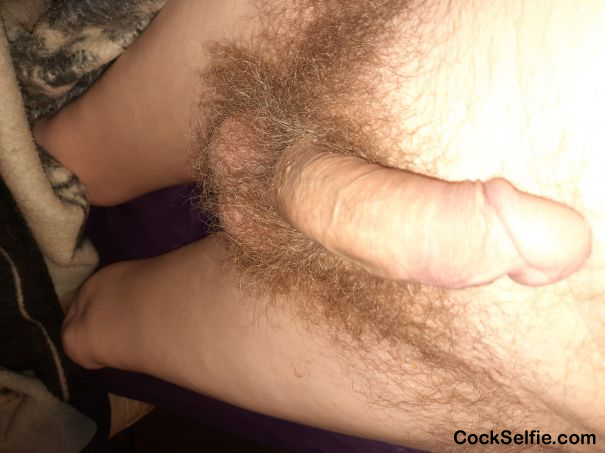 What do you Think of mine - Cock Selfie