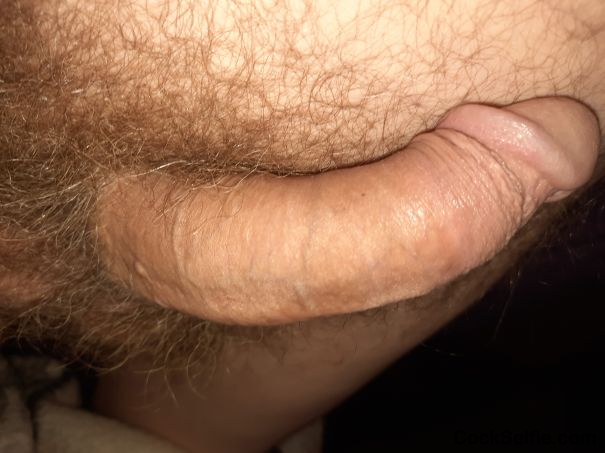 Please rate - Cock Selfie