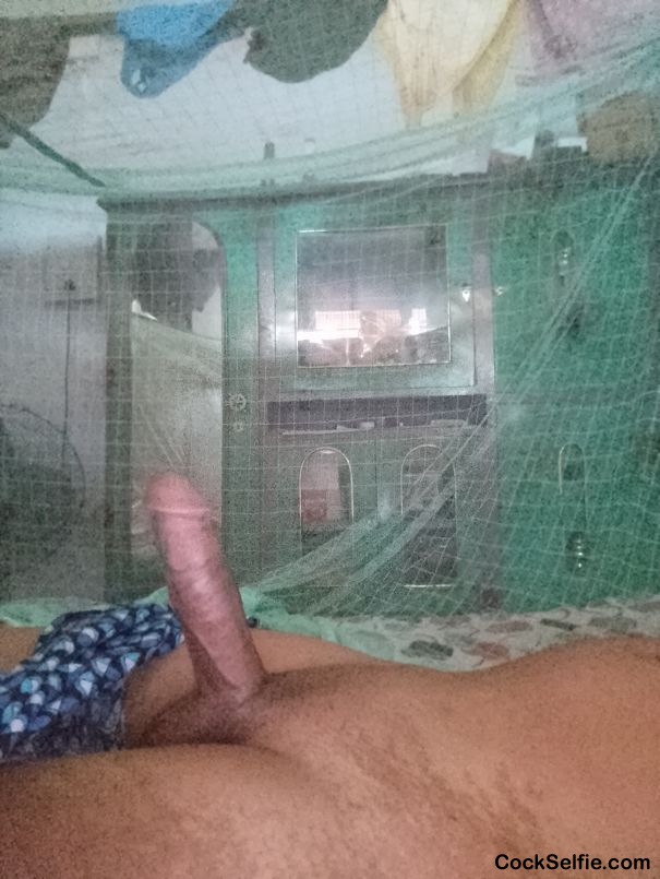 Ready to fuck - Cock Selfie