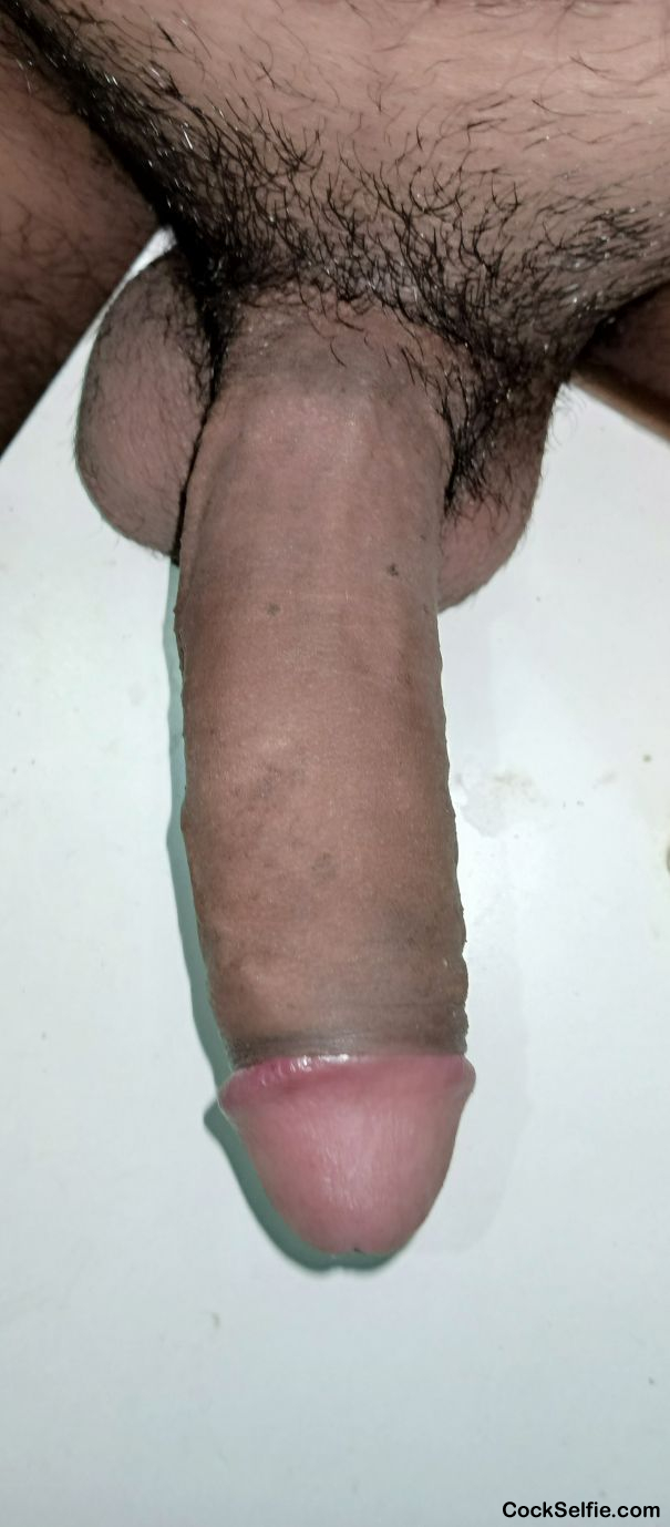 My cock - Cock Selfie