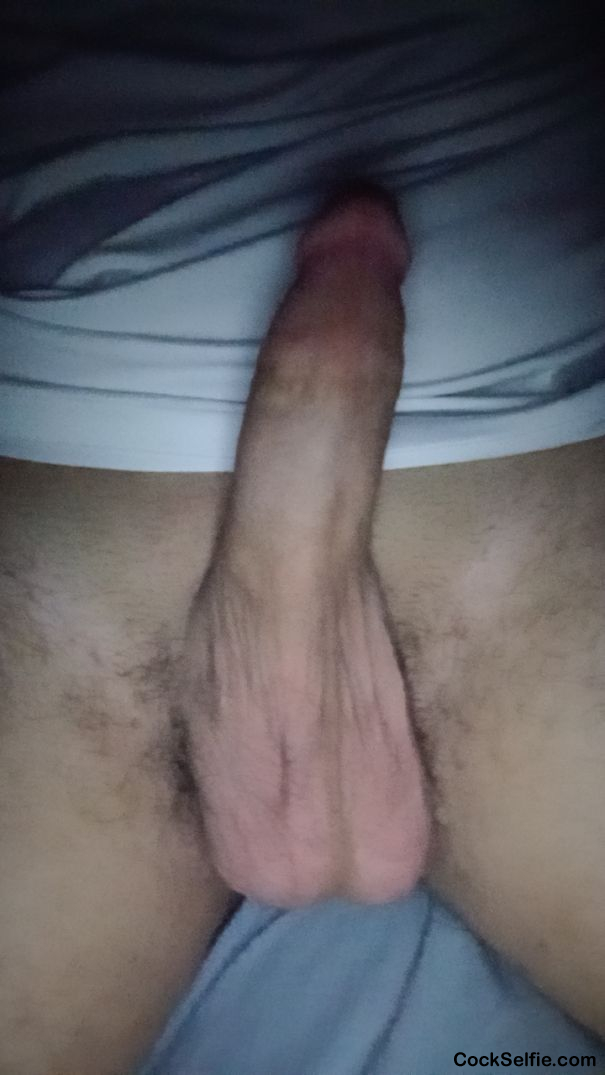  - Cock Selfie