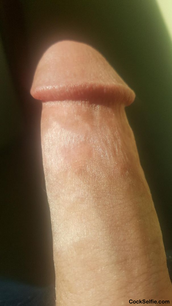 Like it? - Cock Selfie