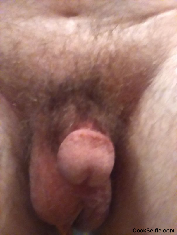 Morning wood! - Cock Selfie