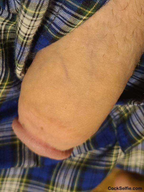 Need a fuckbuddy - Cock Selfie