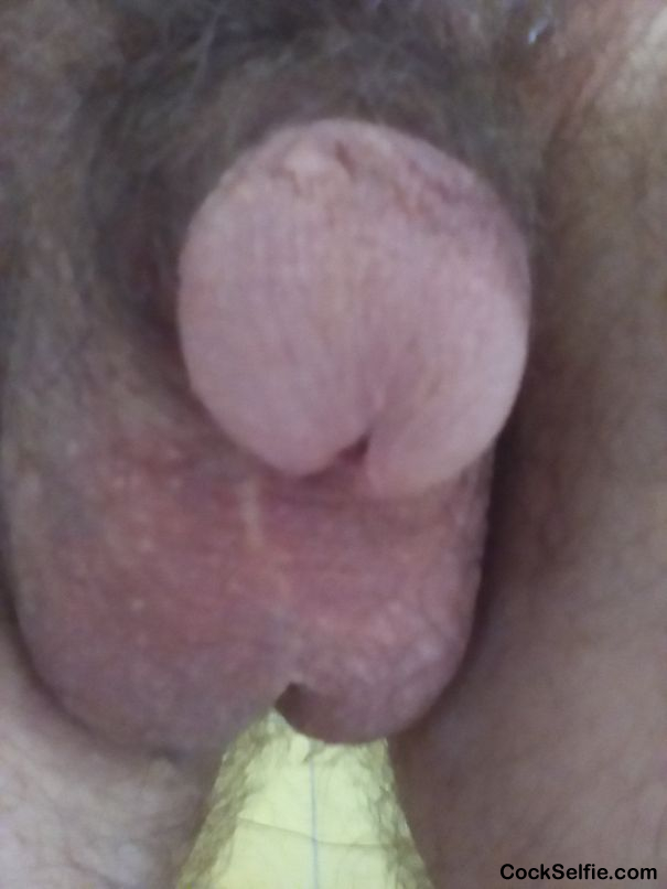 Cock and balls! - Cock Selfie