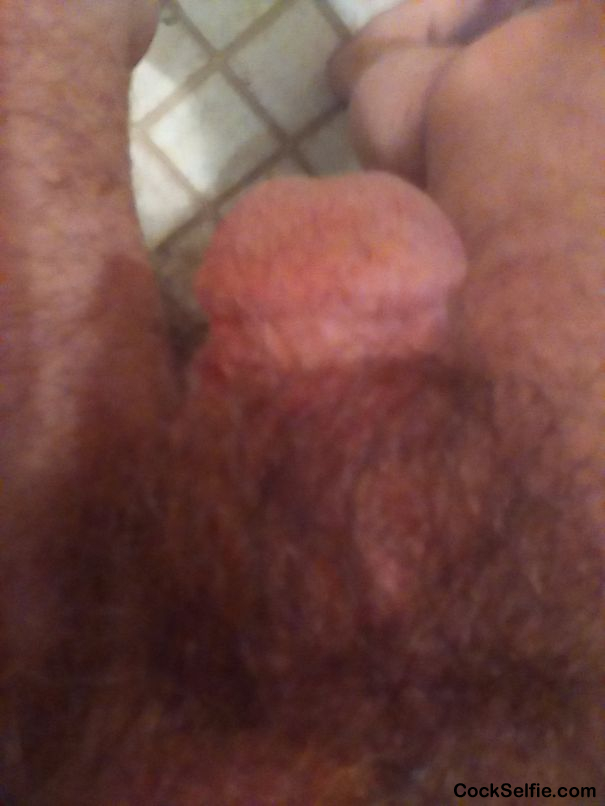 Hard. - Cock Selfie