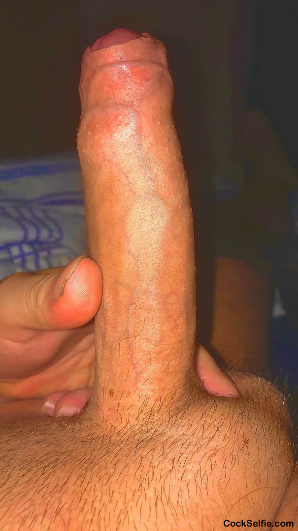 Who wants more? - Cock Selfie