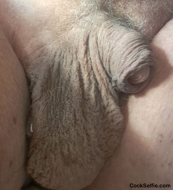  - Cock Selfie