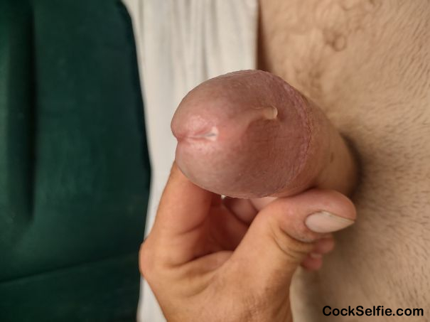 Long hard white dick - Cock Selfie