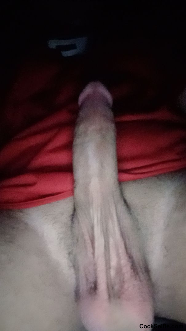 Anyone wanna ride? - Cock Selfie