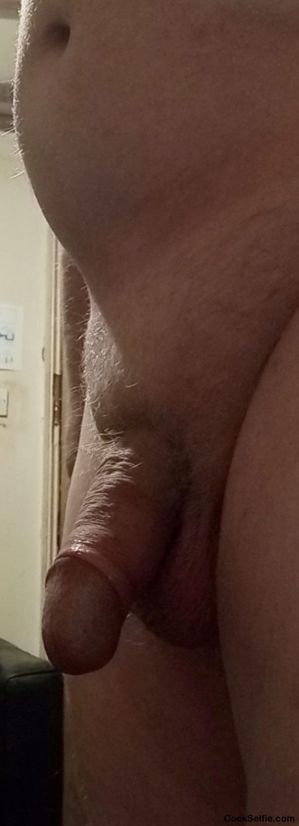  - Cock Selfie