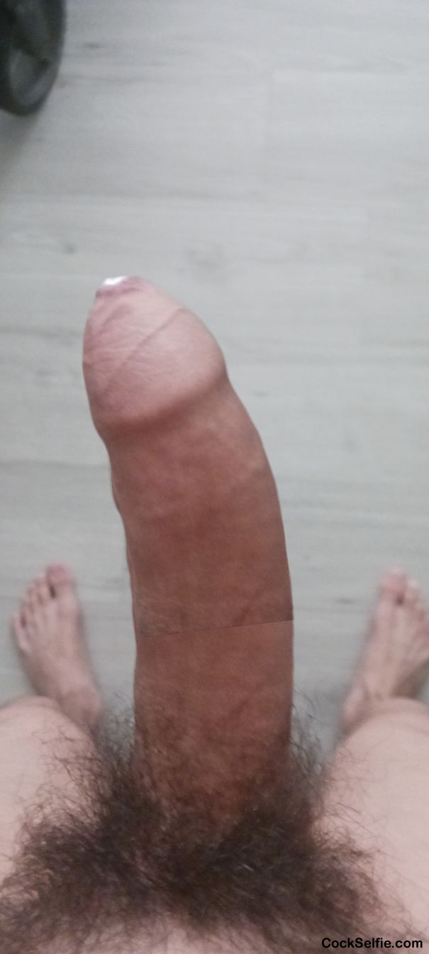 Please suck it - Cock Selfie