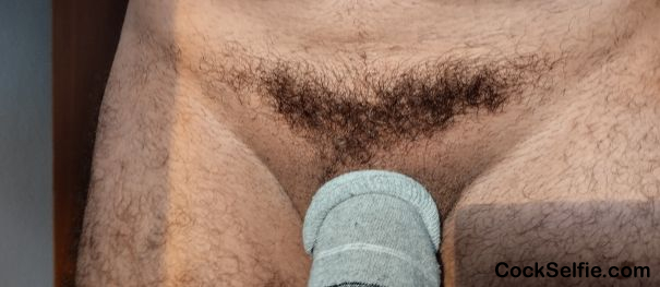 Kiss my Hairy Cock - Cock Selfie