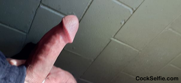 Like it? - Cock Selfie