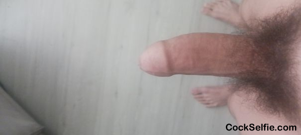 Cock - Cock Selfie