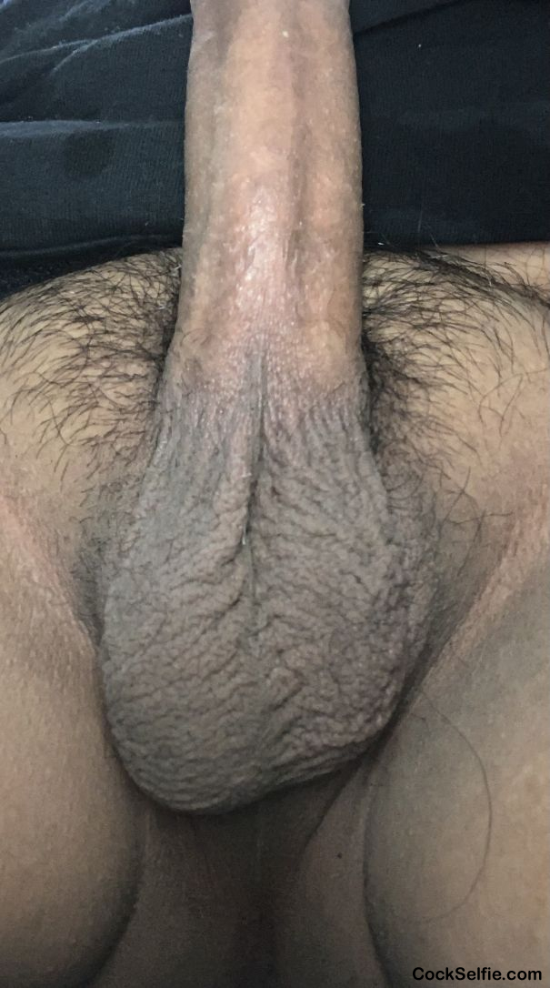 Balls - Cock Selfie