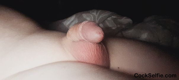  - Cock Selfie