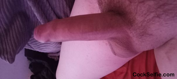 How about we chill with our hard cocks out and cum together - Cock Selfie