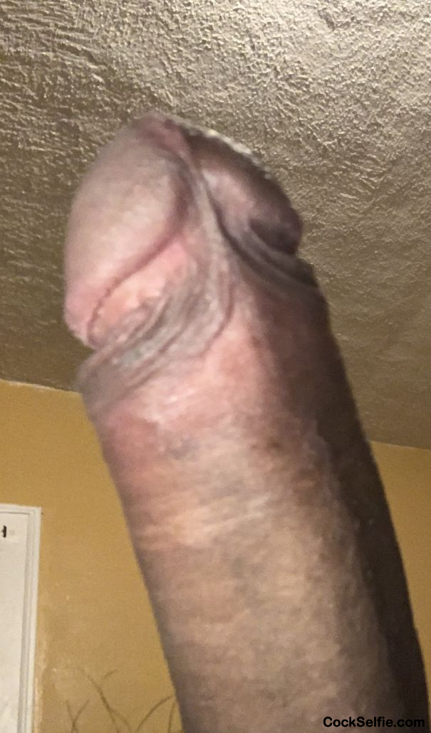  - Cock Selfie