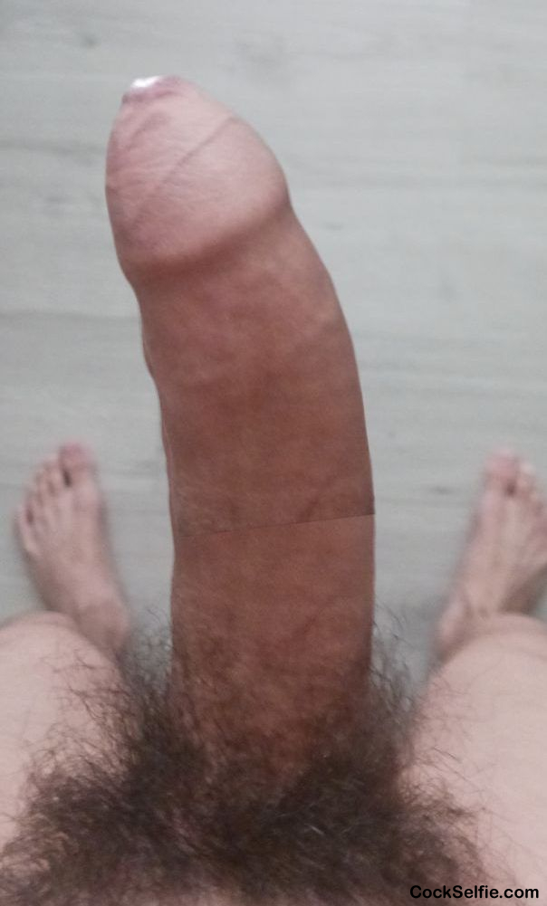 Big cock - Cock Selfie