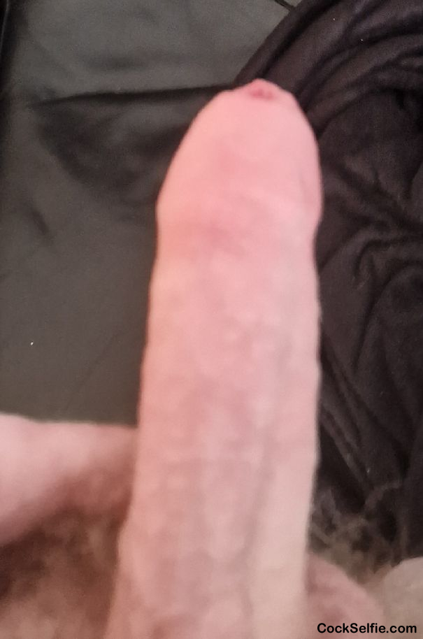 cock - Cock Selfie