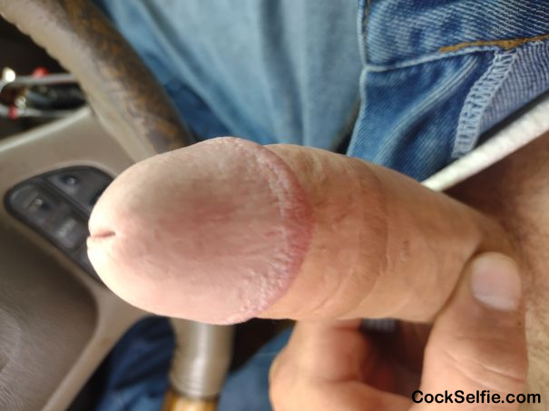 Long hard white dick - Cock Selfie