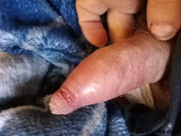 Like my cock or is it too pathetic and small? - Cock Selfie