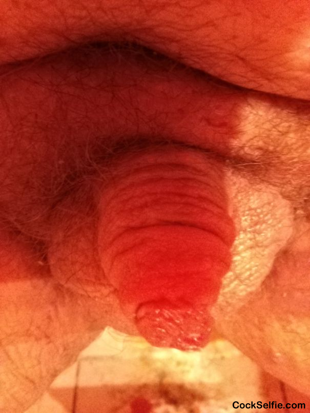 Please humiliate me - Cock Selfie