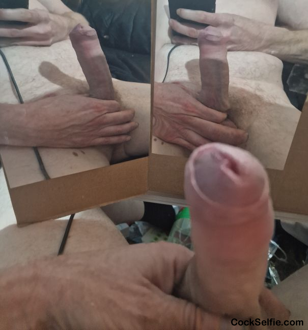 cock x 3 angles - Cock Selfie