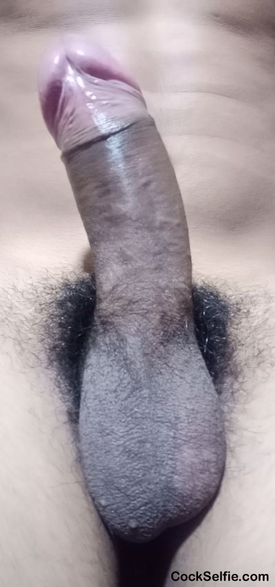  - Cock Selfie