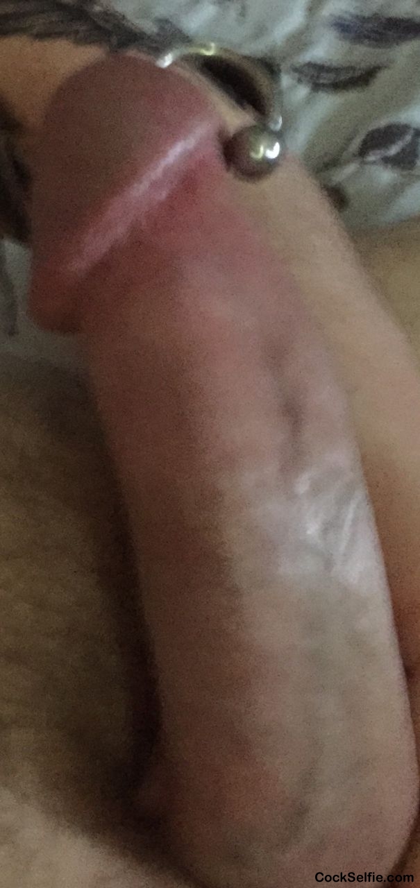 Anyone Around Memphis want this in them - Cock Selfie